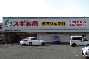 調剤併設型のドラッグストアであるスギ薬局 豊中庄内店。処方せん持参とともに、買物ができる利便性で顧客を獲得